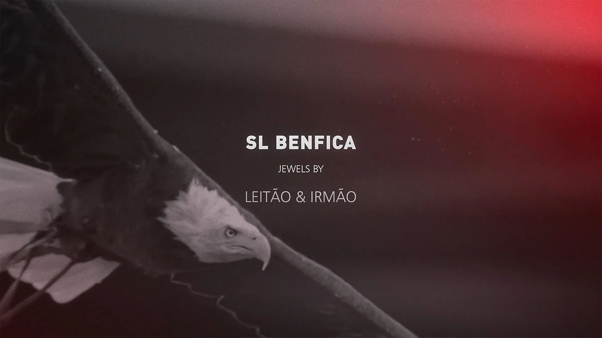 Leitão & Irmão – Benfica 118 Anos — video still of an eagle with SL Benfica jewels by Leitão & Irmão