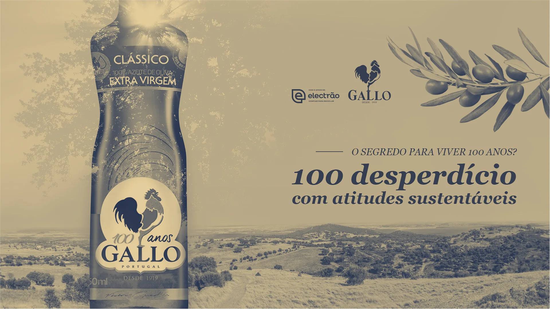 100 Anos de Sustentabilidade — Gallo olive oil banner "100 desperdício com atitudes sustentáveis" over a landscape