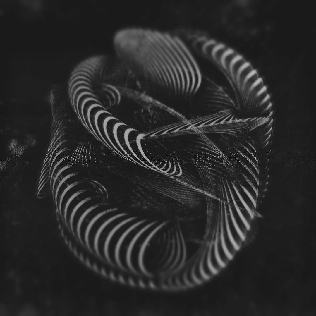 gloop gloop — tangled black and white striped tubes coiled into a ball on a dark background