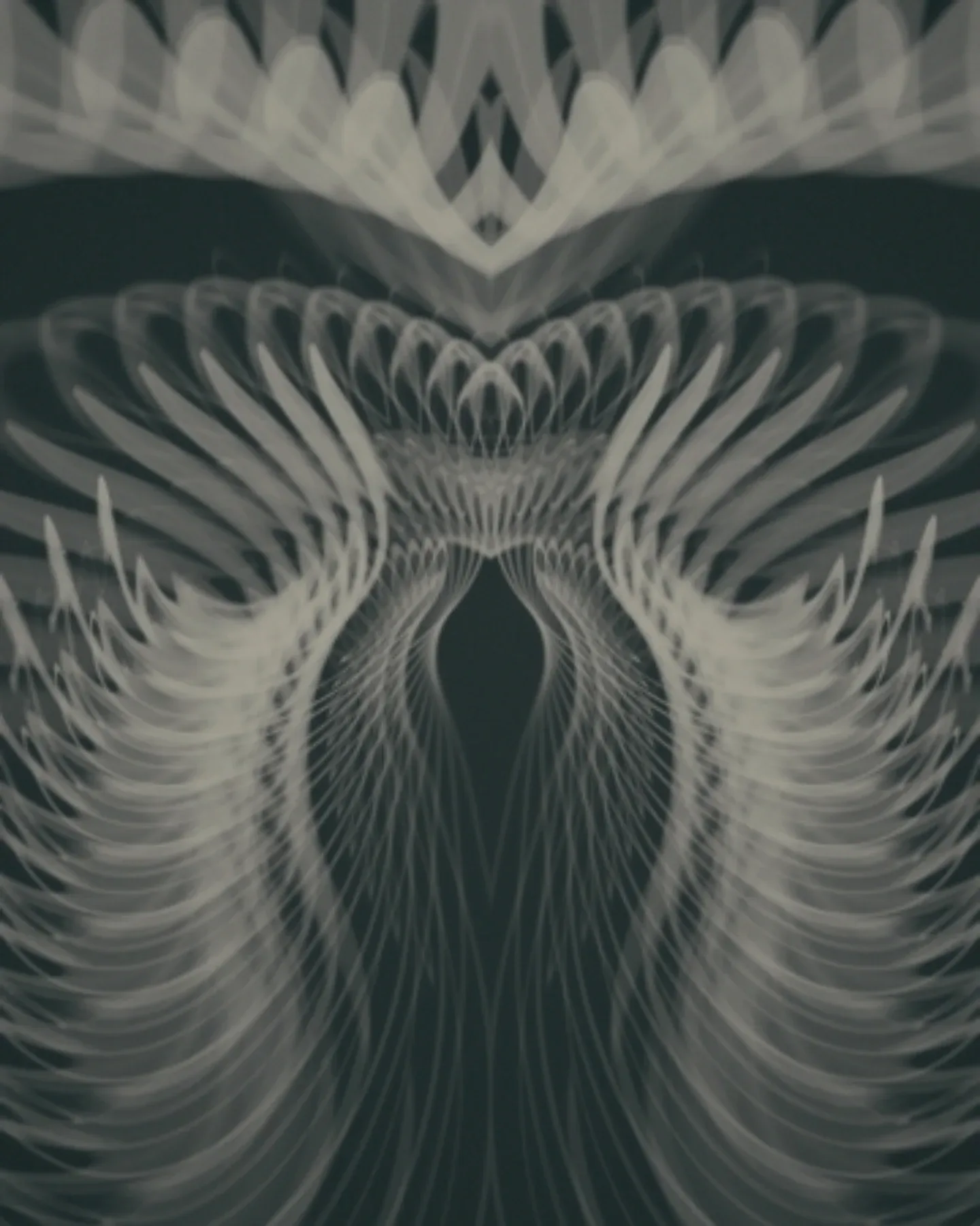 attar — symmetrical pale ribbed layers and wing-like strands on a dark green background